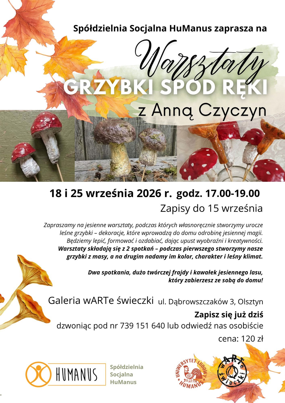 Gr\ybki spod ręki