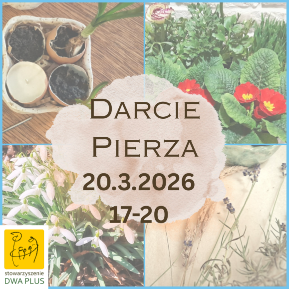 Darcie pierza 