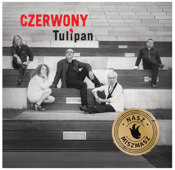 Czerwony Tulipan